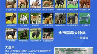 溫州全市通知：禁養(yǎng)這25種烈性犬！