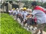 【走進(jìn)小學(xué) 體驗成長 】——龍港市陽光寶貝幼兒園幼小銜接走進(jìn)八小