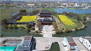 龍港美麗寺廟 —— 湧泉禪寺